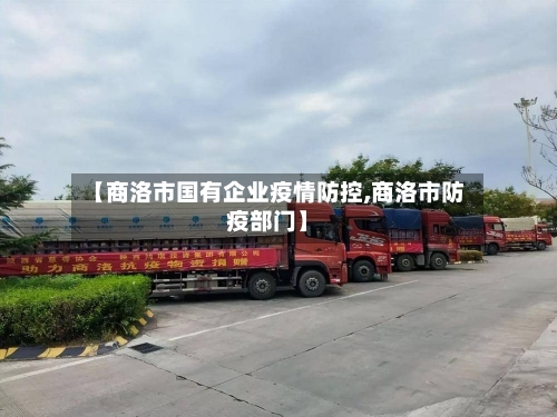 【商洛市国有企业疫情防控,商洛市防疫部门】