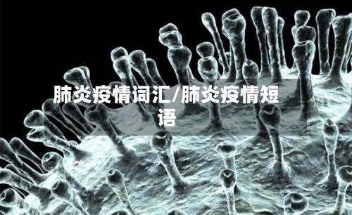 肺炎疫情词汇/肺炎疫情短语-第2张图片