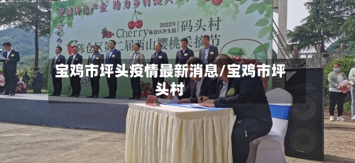 宝鸡市坪头疫情最新消息/宝鸡市坪头村