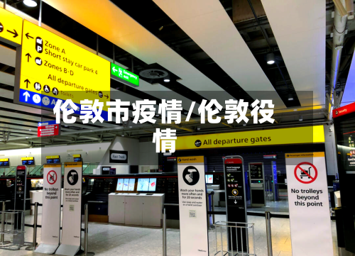 伦敦市疫情/伦敦役情-第2张图片