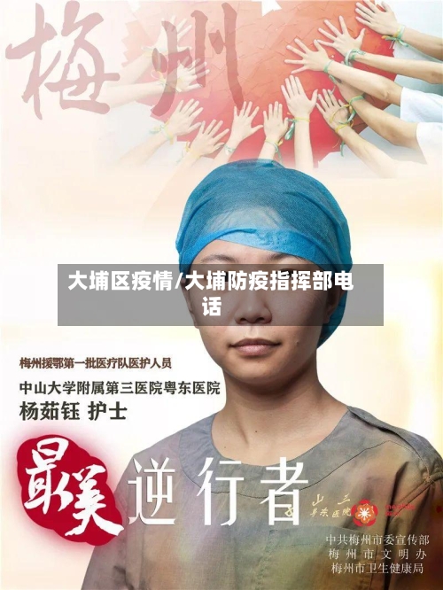 大埔区疫情/大埔防疫指挥部电话