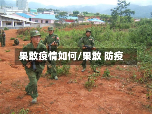果敢疫情如何/果敢 防疫-第3张图片